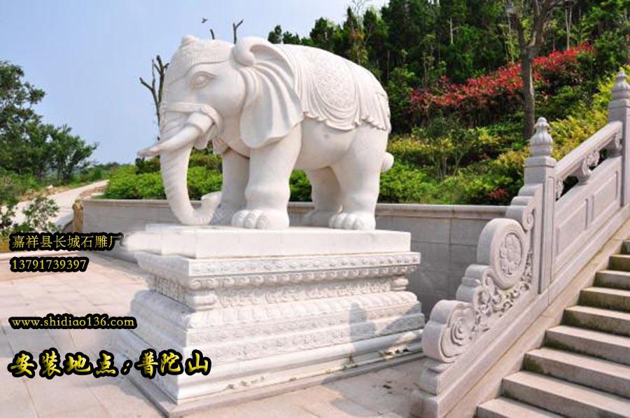 寺院石雕大象，普陀山大象雕刻